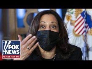 Read more about the article Kamala should teach people how to be the worst VP: Jeff Van Drew