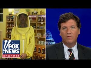Read more about the article Bee expert warns Tucker about the extinction of bees