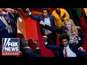Read more about the article Tennessee Dems blame voter oppression for expulsion