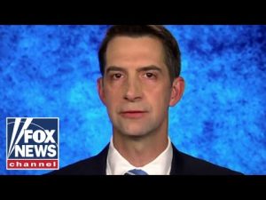 Read more about the article Tom Cotton warns of ‘very damaging’ US intel docs leak