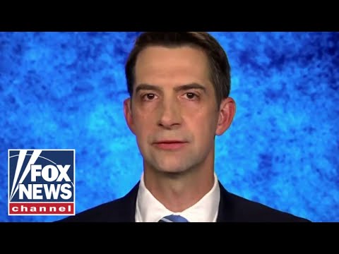 You are currently viewing Tom Cotton warns of ‘very damaging’ US intel docs leak
