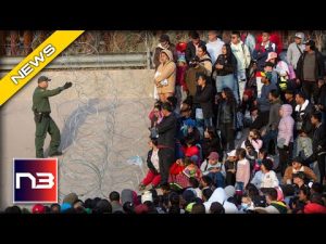Read more about the article DHS Plan BACKFIRES – Border Patrol Agents Absolutely BAFFLED!