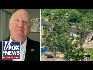 Read more about the article Ex-ICE boss calls Biden’s border policy ‘incompetence at highest level’