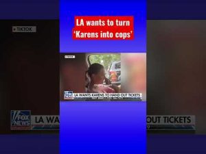 Read more about the article Anyone in California is allowed to be a cop except the cops: Jesse Watters