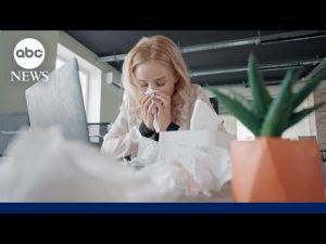 Read more about the article How to deal with worst allergy season in years | ABCNL