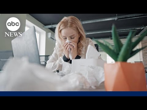 You are currently viewing How to deal with worst allergy season in years | ABCNL