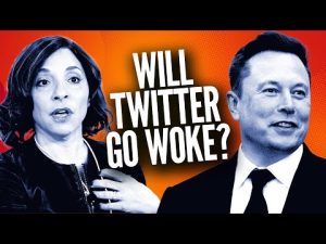 Read more about the article Will Elon Musk’s NEW CEO Ruin Twitter?