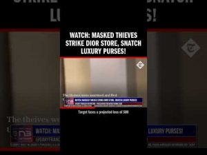Read more about the article WATCH: Masked Thieves Strike Dior Store, Snatch Luxury Purses!