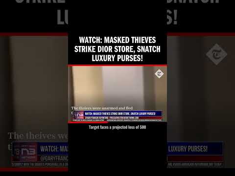 You are currently viewing WATCH: Masked Thieves Strike Dior Store, Snatch Luxury Purses!