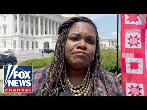 Read more about the article ‘Squad’ member demands $14 trillion in reparations: ‘Cross Country’