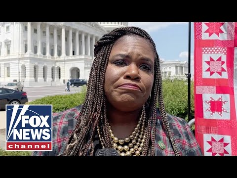 You are currently viewing ‘Squad’ member demands $14 trillion in reparations: ‘Cross Country’