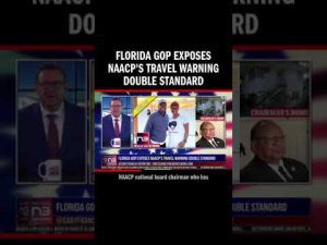 Read more about the article Florida GOP Exposes NAACP’s Travel Warning Double Standard