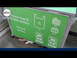 Read more about the article America’s plastic bag recycling stream under scrutiny