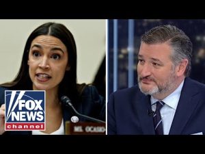 Read more about the article Ted Cruz schools ‘little socialist from NY’ AOC