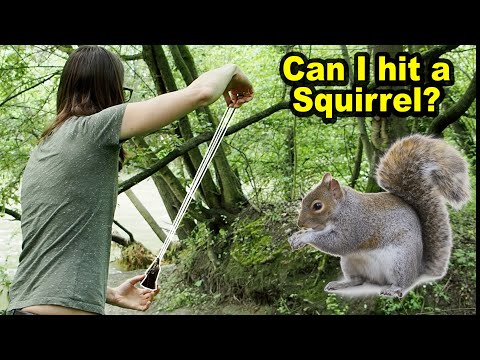 You are currently viewing Can a sling be an effective hunting tool?