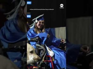 Read more about the article Service dog gets diploma at Seton Hall University commencement | ABC News