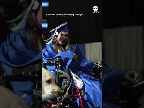 You are currently viewing Service dog gets diploma at Seton Hall University commencement | ABC News