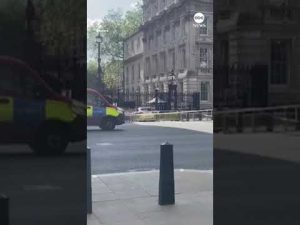 Read more about the article A driver was arrested after crashing their vehicle into the gates outside Downing Street