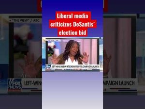 Read more about the article Liberal commentators react to DeSantis’ announcement #shorts