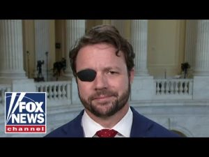 Read more about the article Rep. Dan Crenshaw: The Democrats are backed into a corner