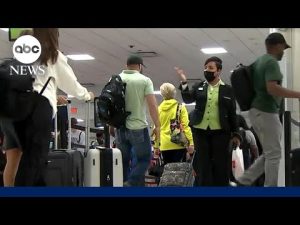 Read more about the article Memorial Day holiday rush