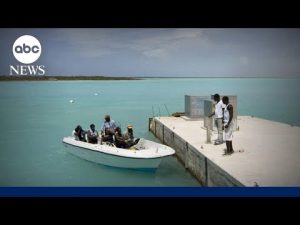 Read more about the article American woman bitten by shark in Turks and Caicos l GMA