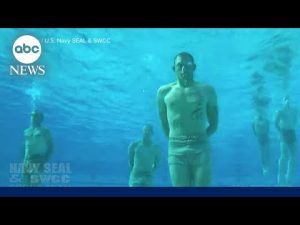Read more about the article Navy investigation raises flags over SEALS course l WNT