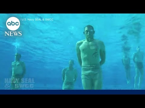 You are currently viewing Navy investigation raises flags over SEALS course l WNT