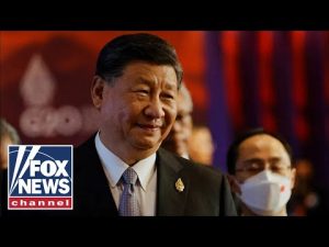 Read more about the article ‘SCARY’: Michigan is getting ‘nothing’ but Chinese corporations: Tudor Dixon
