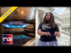 Read more about the article Democrats’ Gas Stove Ban: Protecting Air, or Stripping Liberties?