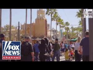 Read more about the article ‘Simply ignore it’ says Florida Black business owner on NAACP’s travel advisory