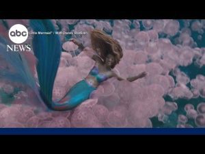 Read more about the article Best movies to watch for at the box office this summer
