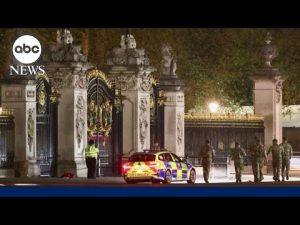 Read more about the article Man arrested outside Buckingham Palace l GMA