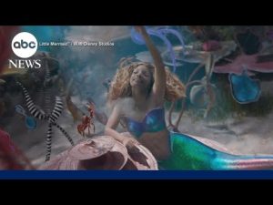 Read more about the article ‘The Little Mermaid’ soaks up $117 million at the box office | The Tea