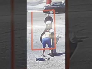 Read more about the article Man rushes to save baby in runaway stroller | ABC News