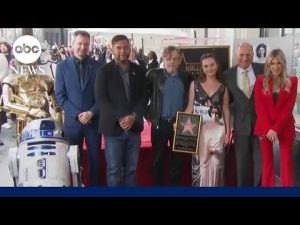 Read more about the article May the 4th be with you