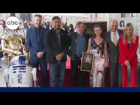 You are currently viewing May the 4th be with you