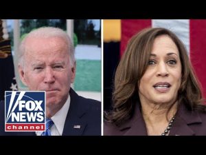 Read more about the article ‘NO IDEA’: Americans can’t answer who Biden’s VP is | Brian Kilmeade Show