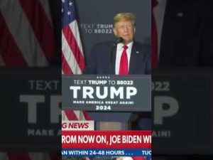 Read more about the article Trump Ruthlessly Mocks Biden