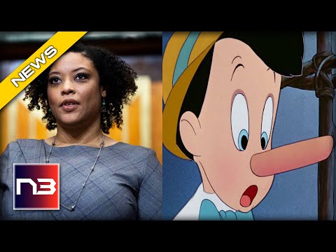 You are currently viewing Shalanda Young’s Lies: Biden Official Caught Misleading Americans