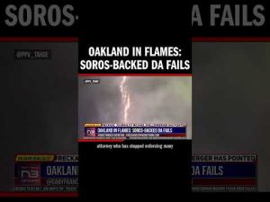 Read more about the article Oakland in Flames: Soros-Backed DA Fails