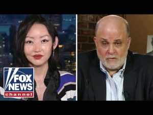 Read more about the article North Korean defector to Levin: These are ‘evil tactics’
