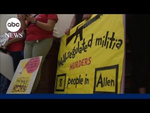 Read more about the article Activists, bipartisan lawmakers battle for gun reform in Texas