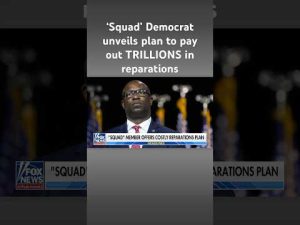 Read more about the article ‘Squad’ member pushes massive slavery reparations bill