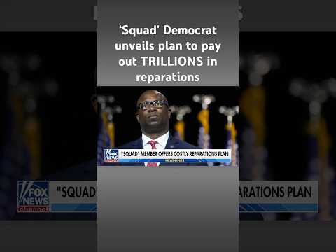 You are currently viewing ‘Squad’ member pushes massive slavery reparations bill