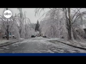 Read more about the article Dozens die as brutal cold moves through US