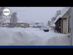 Read more about the article Millions bracing for bitter Arctic blast