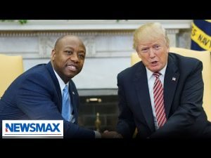 Read more about the article Tim Scott has the ability to connect with different audiences: Tom Basile | American Agenda