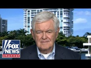 Read more about the article Newt Gingrich calls out liberal hypocrisy: ‘Soft’