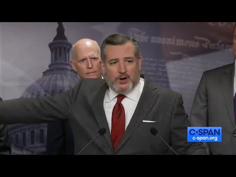 Read more about the article Ted Cruz Compares Top Democrat to Hannibal Lecter in Fiery Speech